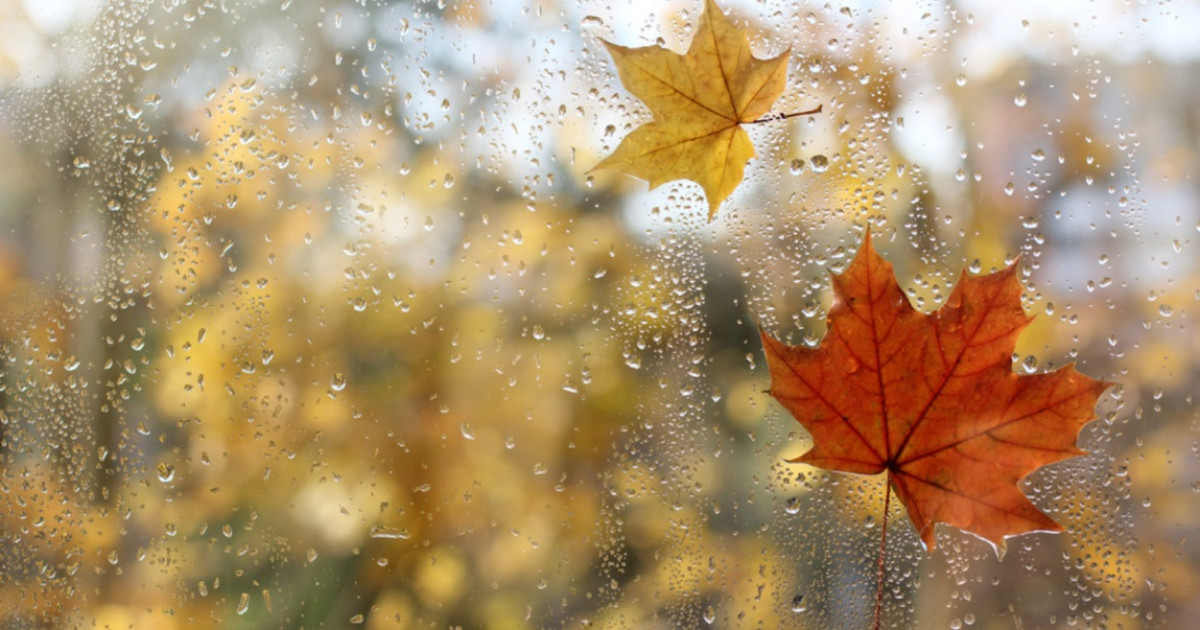 Igazi őszi idő: sok szelet és esőt hoz ez a hét | Ez a lényeg